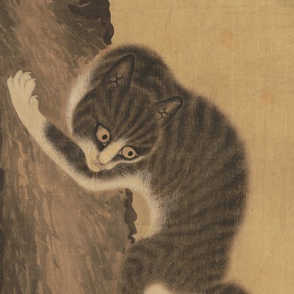 A cat climbing a tree

Description automatically generated