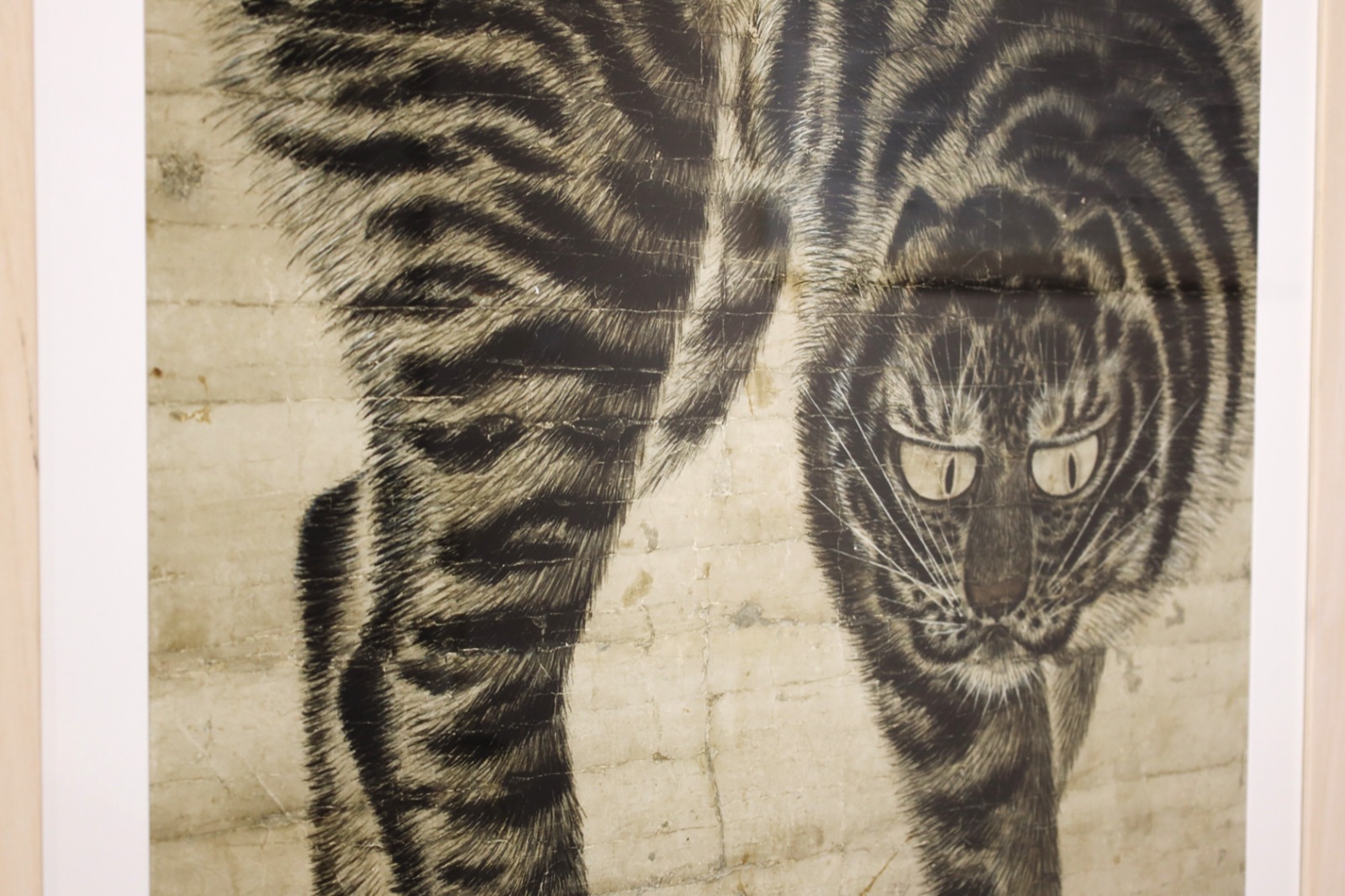 A close-up of a tiger

Description automatically generated
