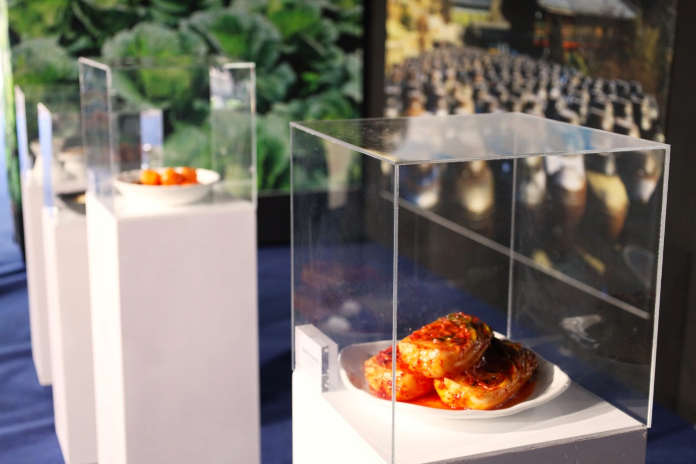 Food in a glass case

Description automatically generated