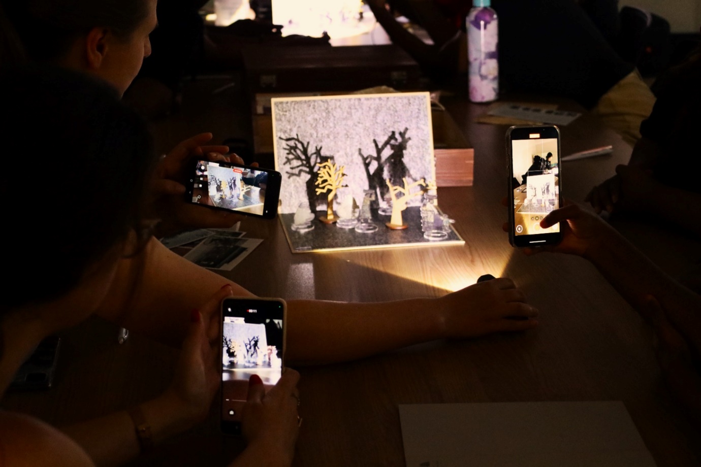 A group of people taking pictures of a picture of a tree
Description automatically generated