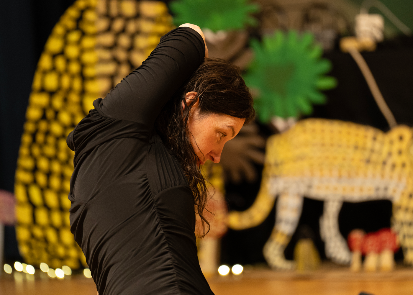 Performance scene of Circle of Nature