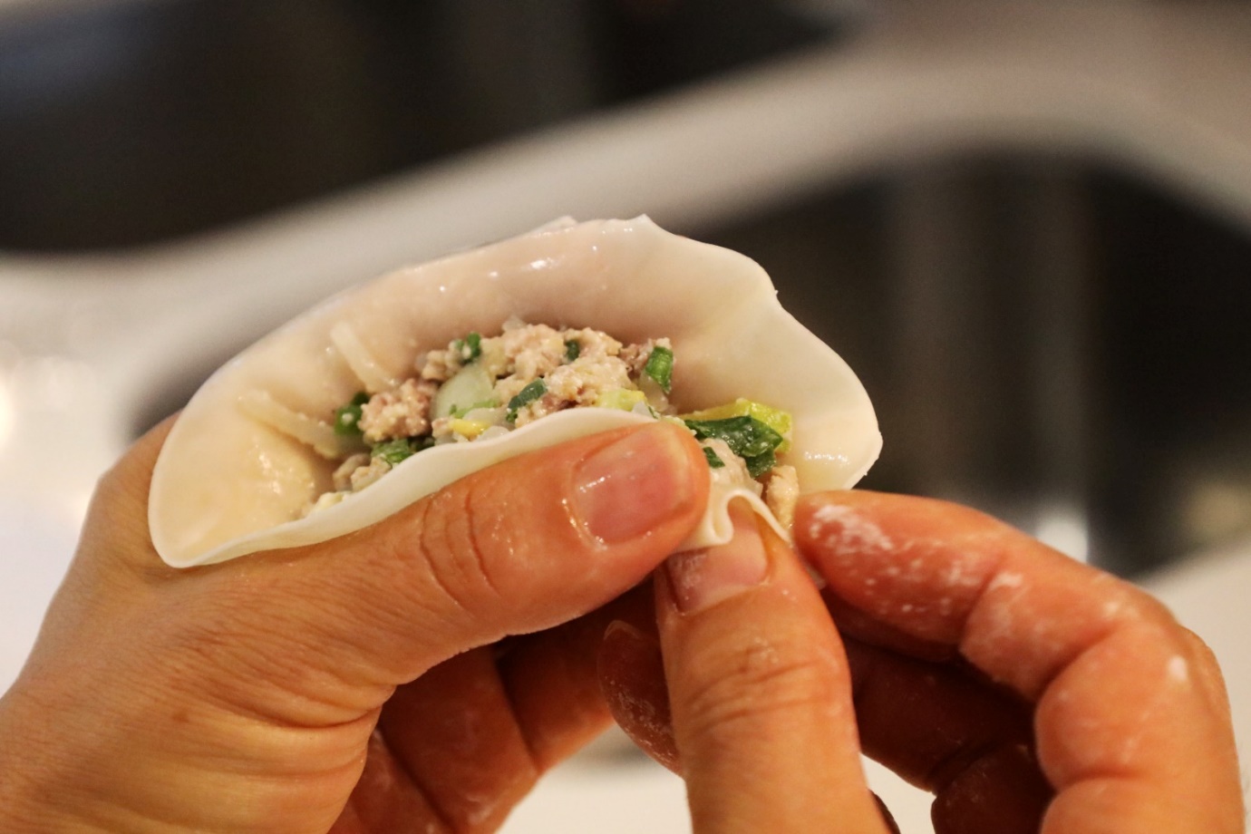 A person holding a dumpling

AI-generated content may be incorrect.
